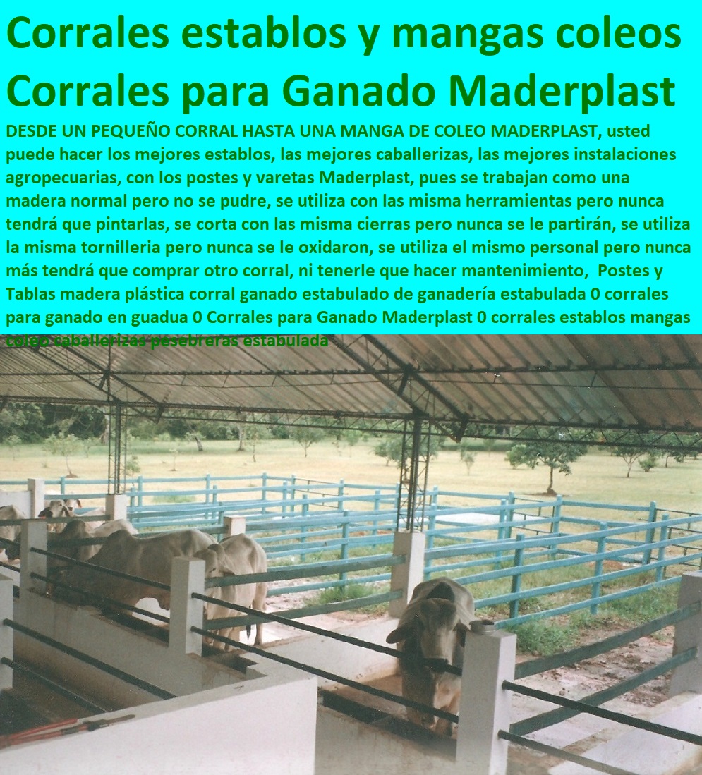 Medidas De Corrales Y Vaqueras Establos ganado estabulado Maderplast 0 medidas de una vaquera con corral 0 corrales para ganado lechero 0 buenas instalaciones bovinas 0 Instalaciones y equipos ganado de carne 0 partes de un corral Medidas De Corrales Y Vaqueras Establos ganado estabulado Maderplast 0 medidas de una vaquera con corral 0 corrales para ganado lechero 0 buenas instalaciones bovinas 0 Instalaciones y equipos ganado de carne 0 Baules De Madera Plástica Maderplast 0, cajas organizadoras plasticas grandes 0, cajas organizadoras en tela 0, venta de baúles 0, cajas plasticas organizadoras partes de un corral